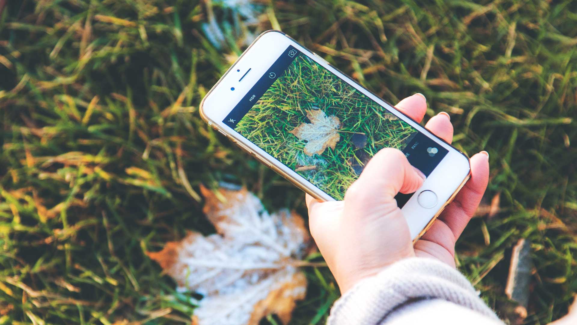 Best-Notched-Smartphones-on-selfgrowth