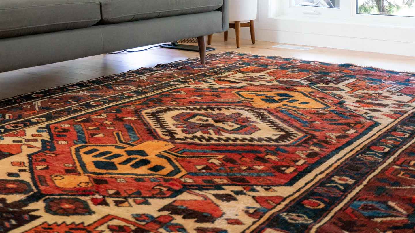 Remove-Junk-Carpet-in-Dade-County-on-selfgrowth