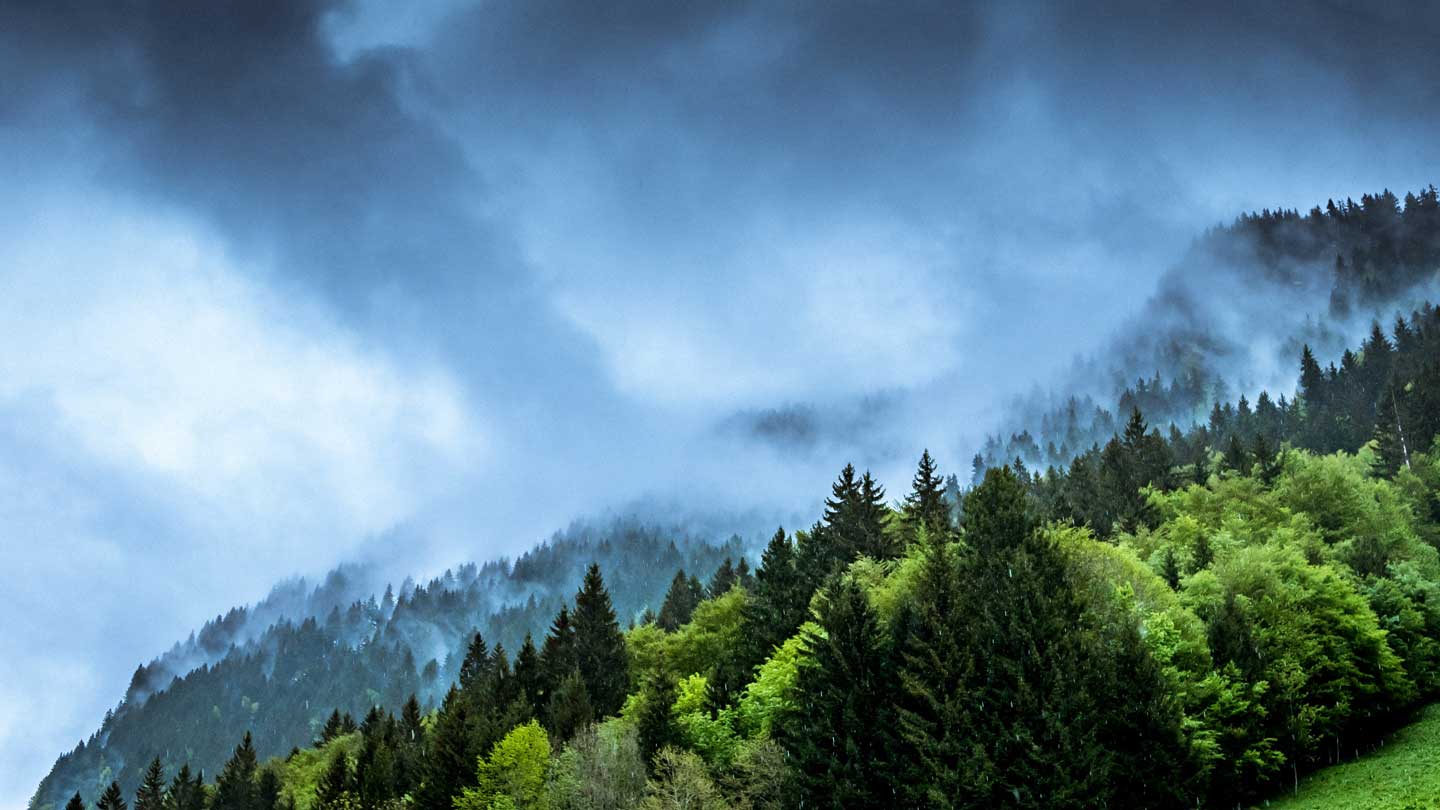 How-to-Reduce-Your-Carbon-Footprint-on-selfgrowth
