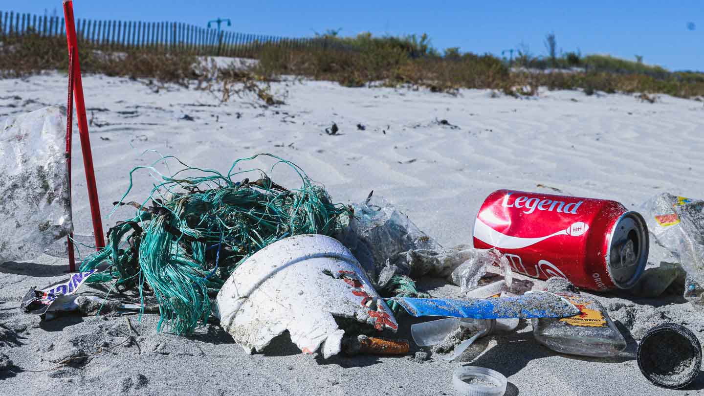 Your-Guide-to-Debris-Disposal-on-selfgrowth