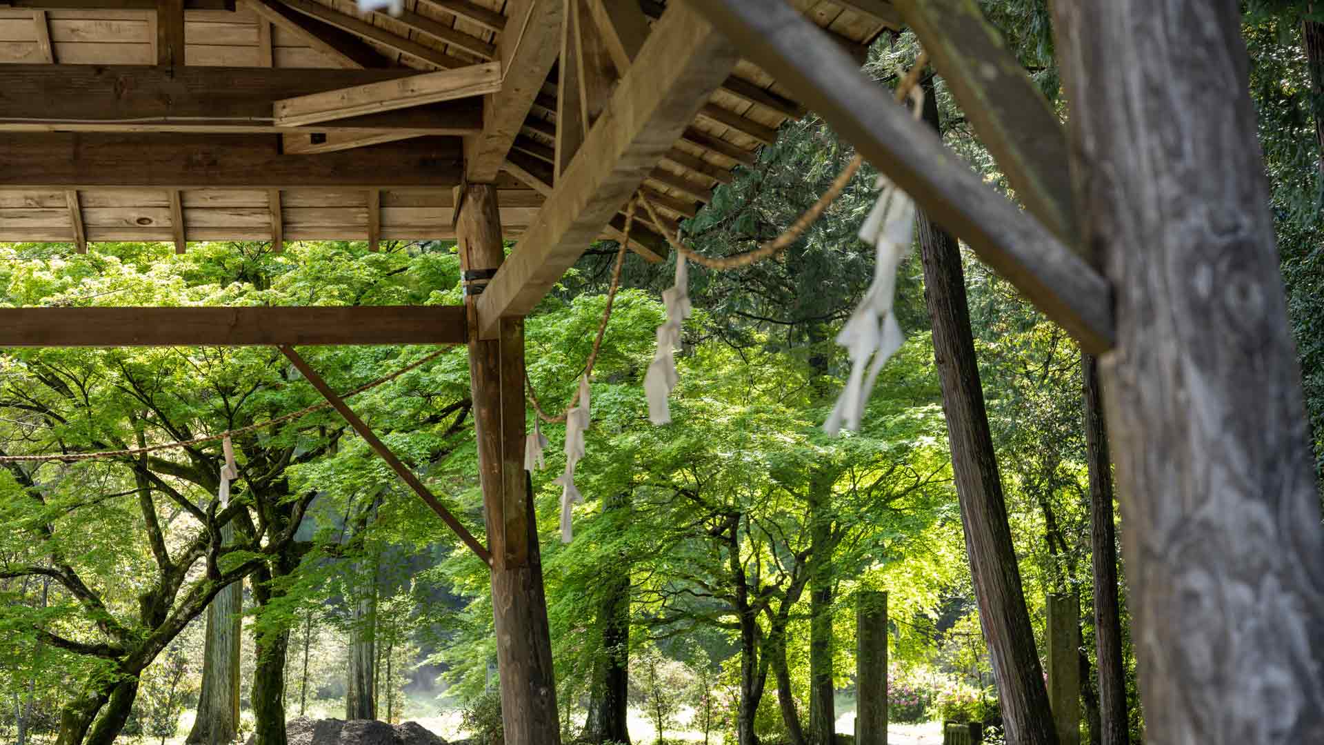 Weaving-Dreams-And-Memories-With-A-Wooden-Garden-Arbour-On-SelfGrowth