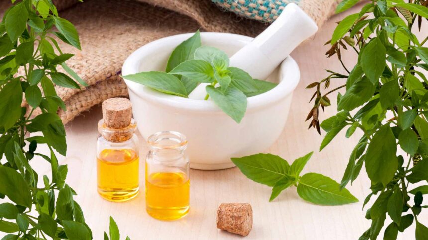 Why Fresh And Fragrance Is The Perfect Duo For A Vibrant Day On SelfGrowth